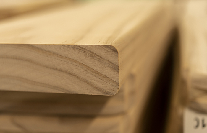 Accoya On The Rise